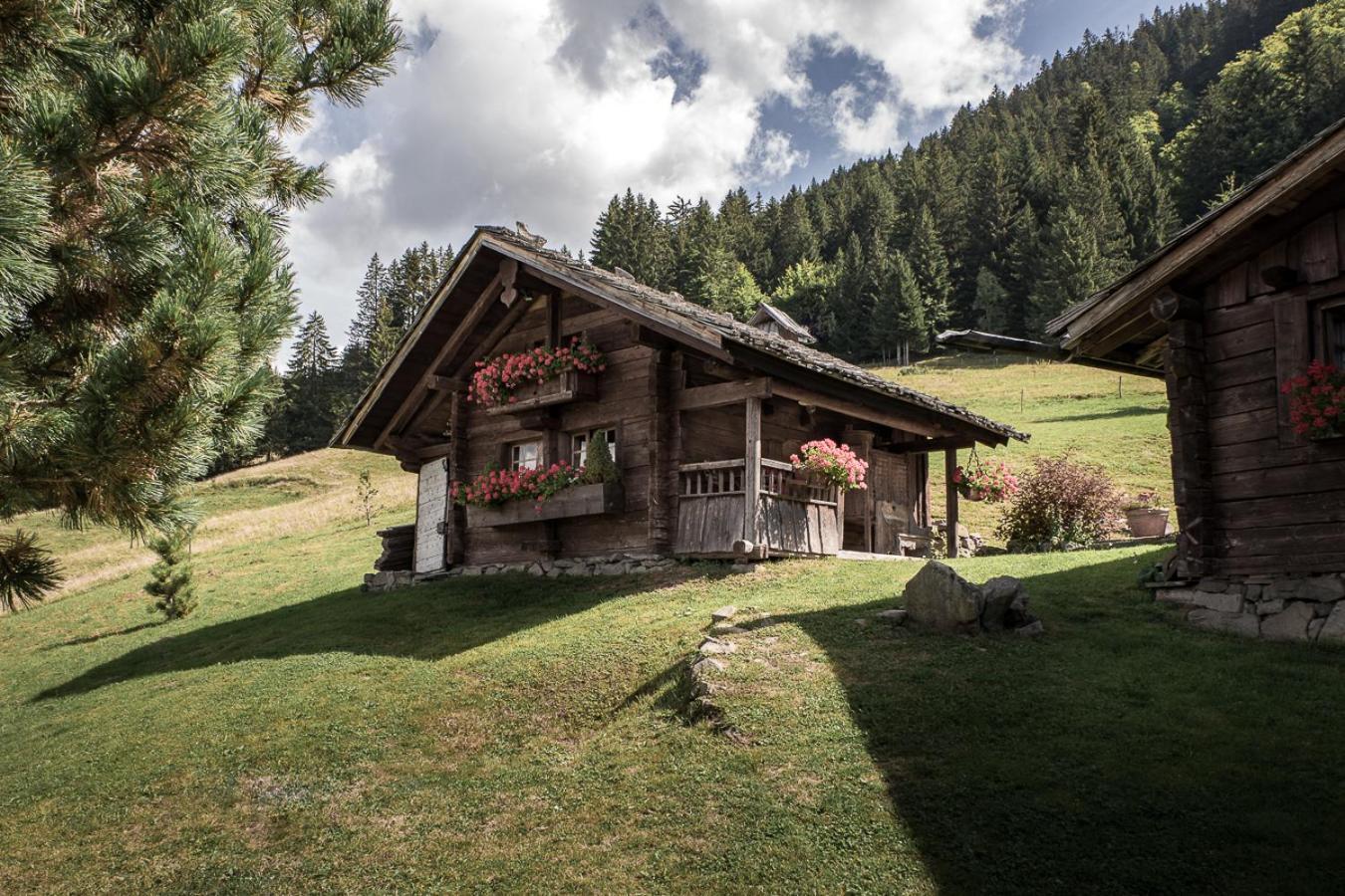 La Ferme Des Vonezins Ξενοδοχείο Thônes Εξωτερικό φωτογραφία